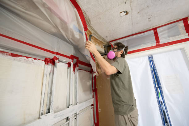 Best Airborne Mold Testing  in Shannondale, WV