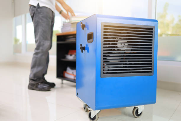 Best Indoor Air Quality Assessment  in Shannondale, WV