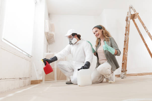 Best Attic Mold Removal  in Shannondale, WV